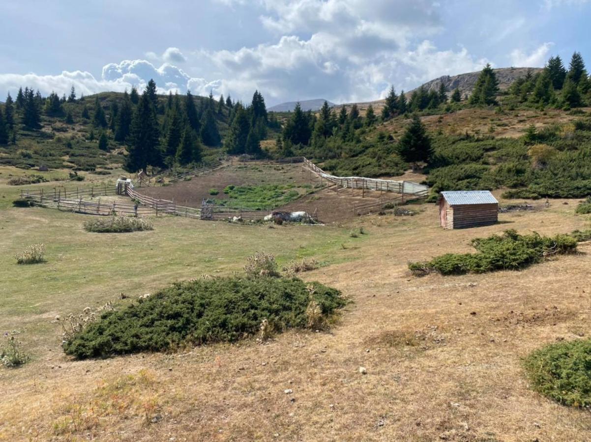 Villa 80 Kodra E Diellit Tetovo Exterior foto